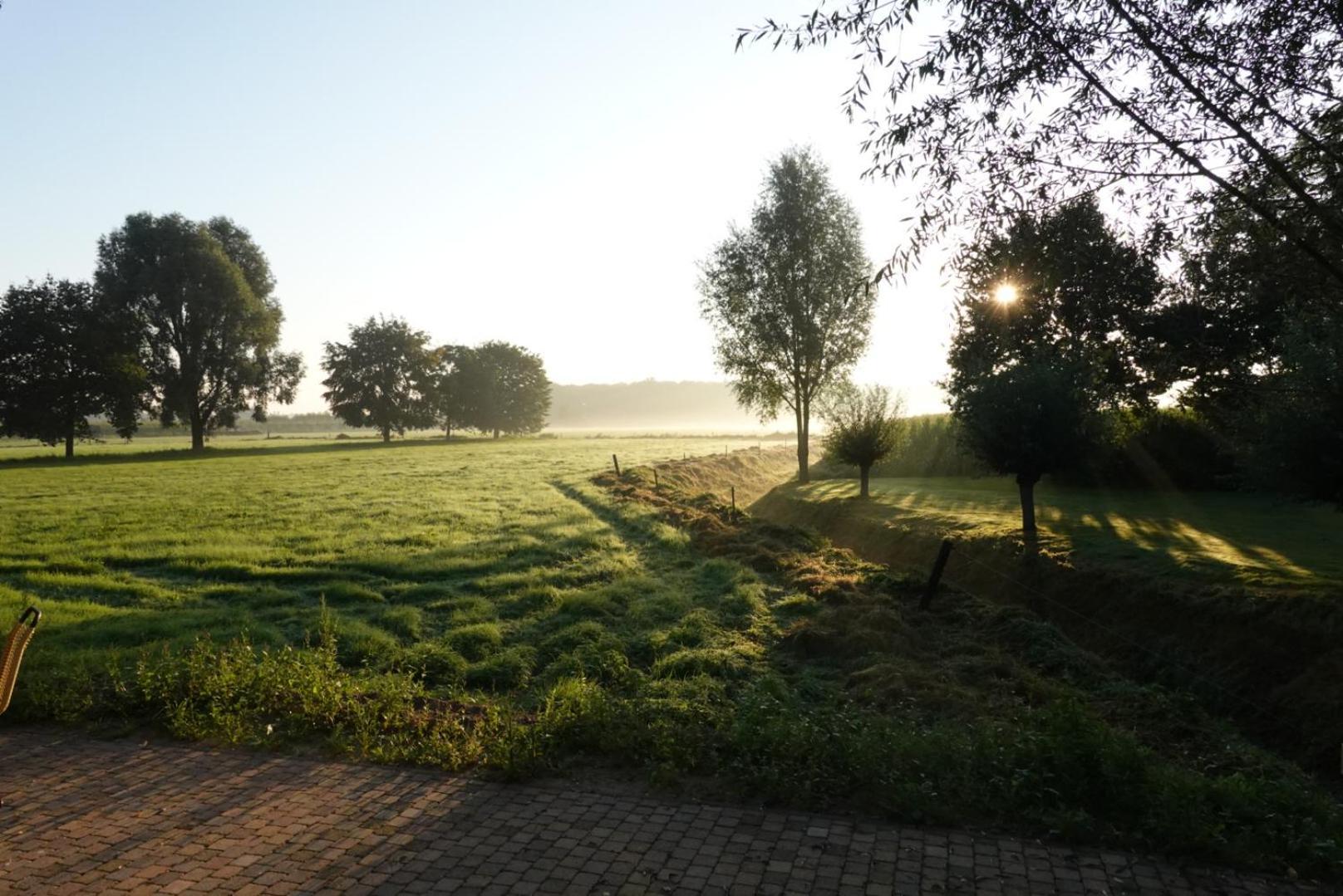 De Knotwilg Villa Loon op Zand Eksteriør bilde